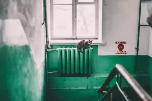 Remonty dachów w blokach